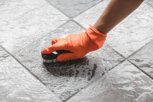 Keep Your Tiles Sparkling with Professional Grout Care